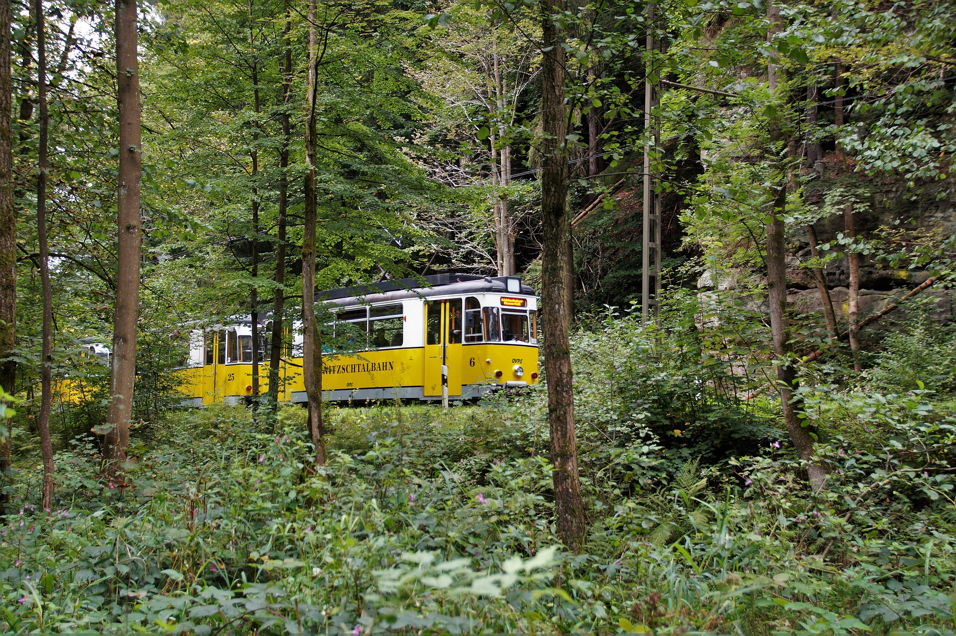 Single bad schandau